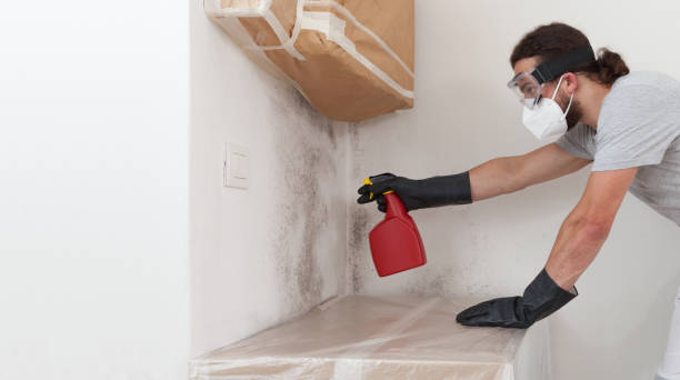 Professional Mold Testing technician working in Wellesley Hills, MA